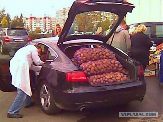 Немного автомобильного юмора