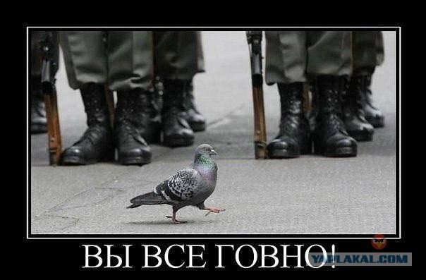 Веселые картинки