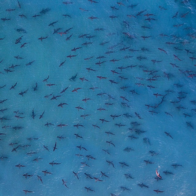 Впечатляющие фотографии National Geographic