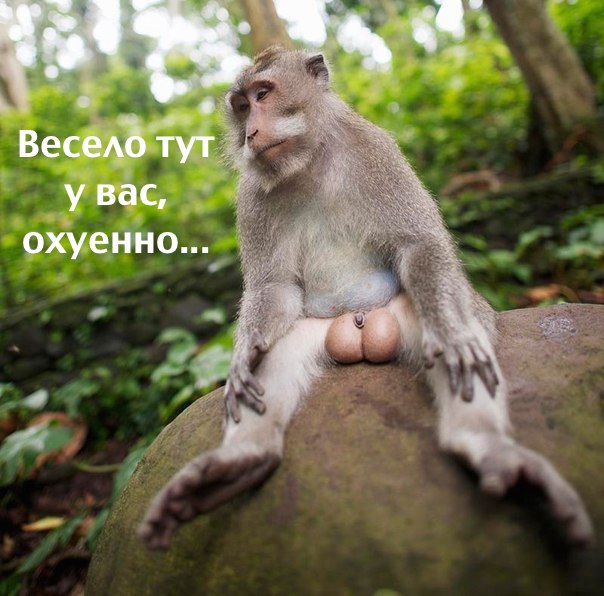17 изящных женских татуировок