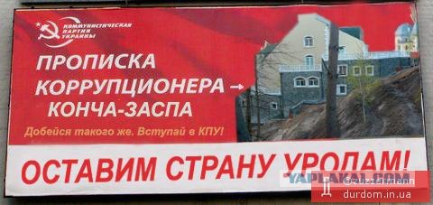 Предвыборный юмор по-украински (коте одобряет)