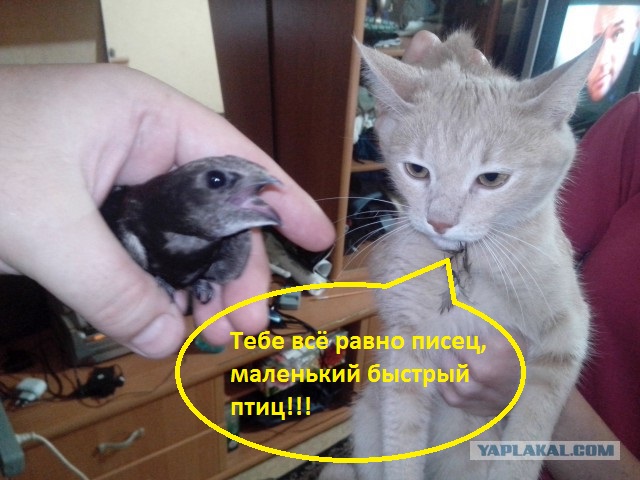 Охотница, ети его мать