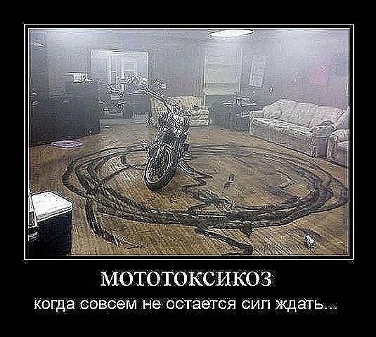 Да у вас мототоксикоз!