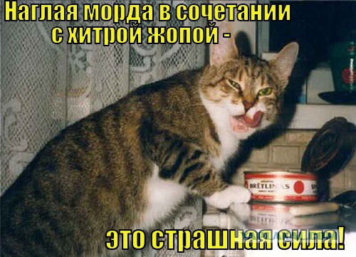 СШП: Российские летчики должны