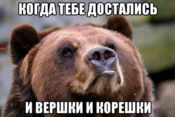 Подборка картинок