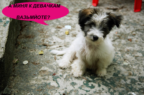 Уже да :) Ужо пятнецца...