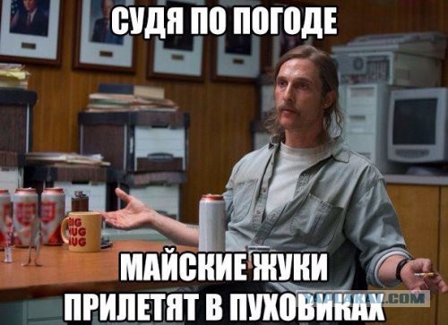 Весёлые картинки