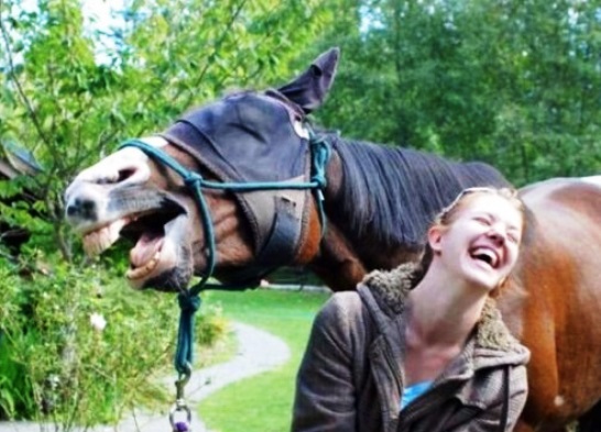 Веселые картинки ч.3