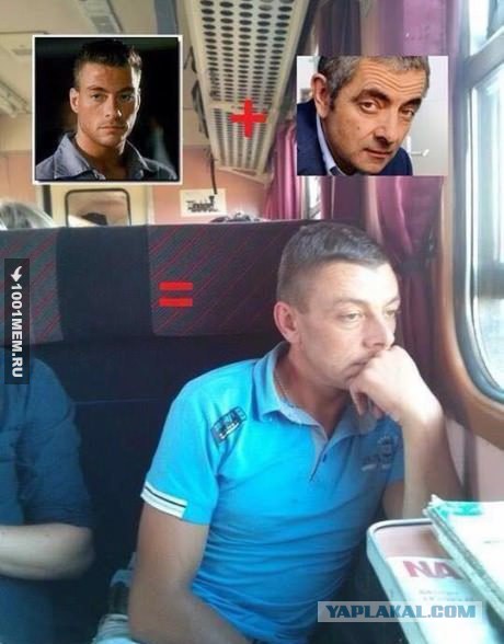 Весёлые картинки
