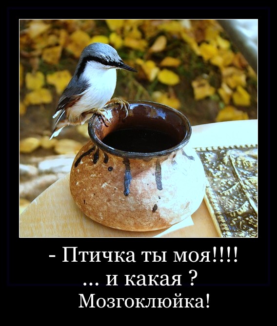 Два десятка картинок для позитивного настроения!