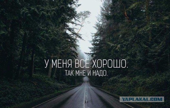 Подборка картинок из сети