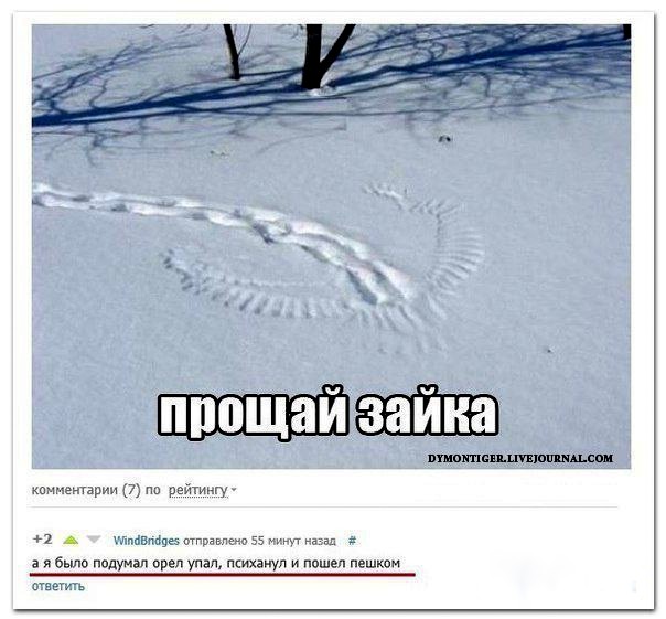 Немного позитива на выходной я начну а вы продолжите