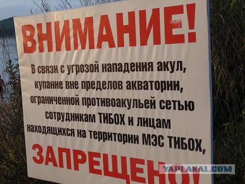 Вот так, ребята..