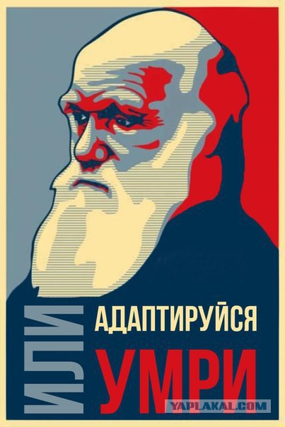Картинки. Интересные, старые и не очень
