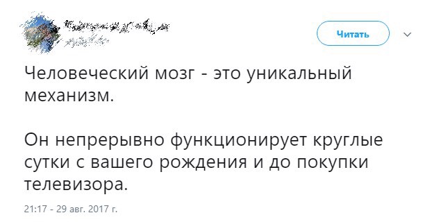 Смешные комментарии из социальных сетей 13.10.2017
