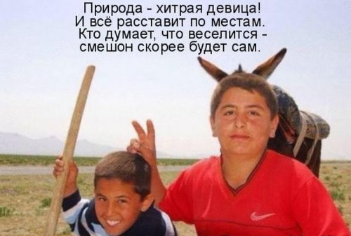 Просто юмор 22