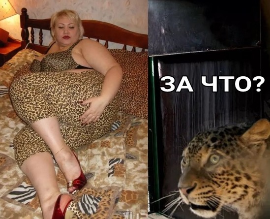 "Вызвали такси! Сарай какой-то стоит!"