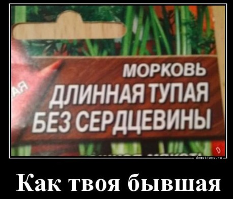 Анекдоты, истории и картинки с надписями
