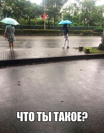 Бредзона