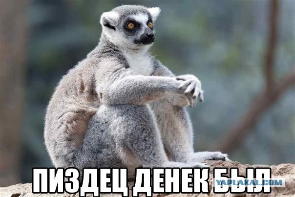 Вы включаете телевизор, а там такое! Ваши действия?