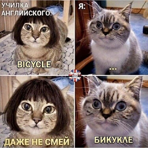 Так себе картинки 21.06.20