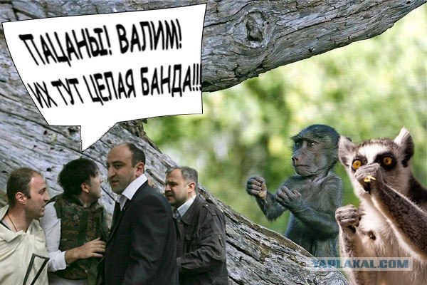 Сижу вот,отдыхаю