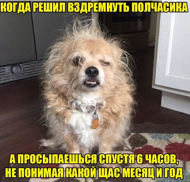 Ты уже достаточно взрослый