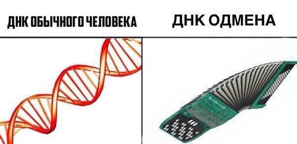 Не пропускай день деградации!