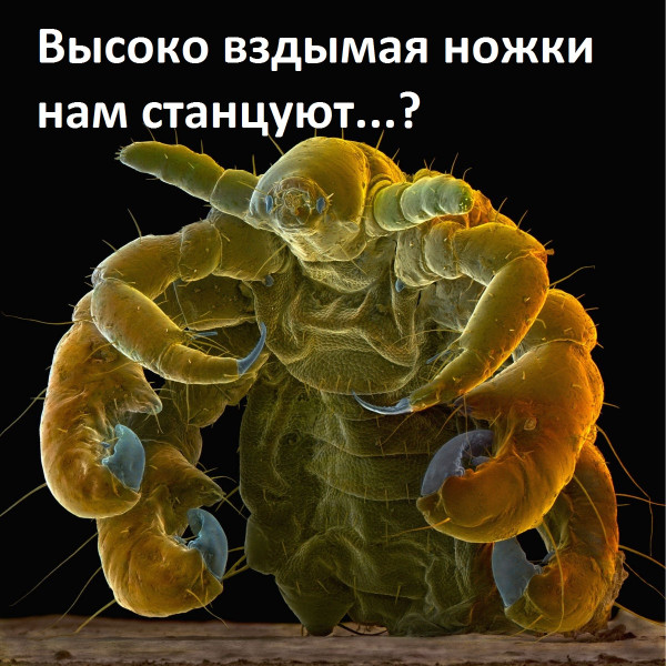 Картинки и мемы для настроения 01.06.2021