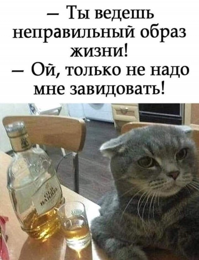 Алкопост 02.07.21