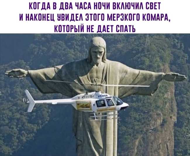 15943993.jpg