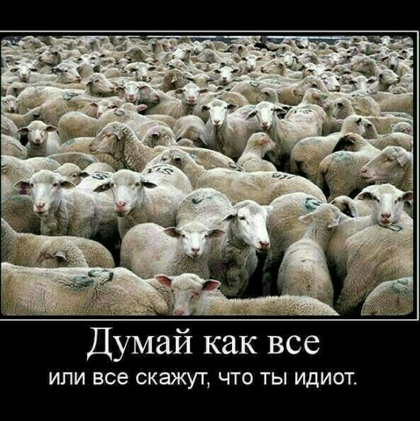 Интересно, ей  паспорт выдали ?