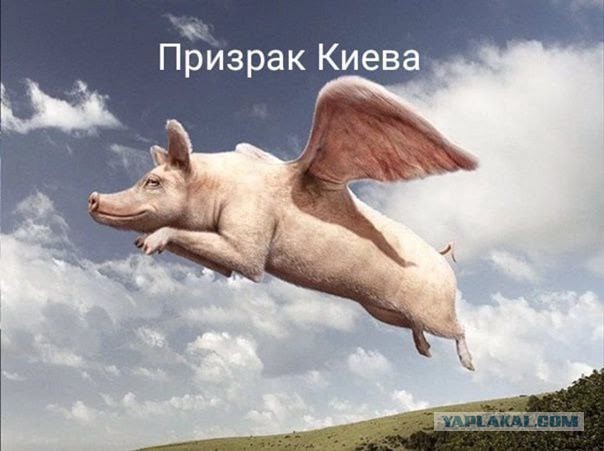 На Львовщине обрисовали памятник надписями в поддержку Путина
