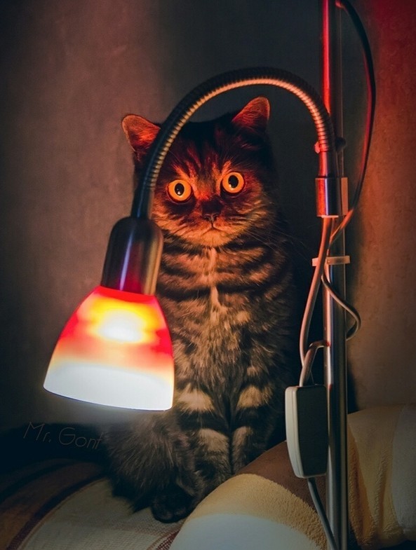 Мимо этой истории никто не сможет пройти мимо