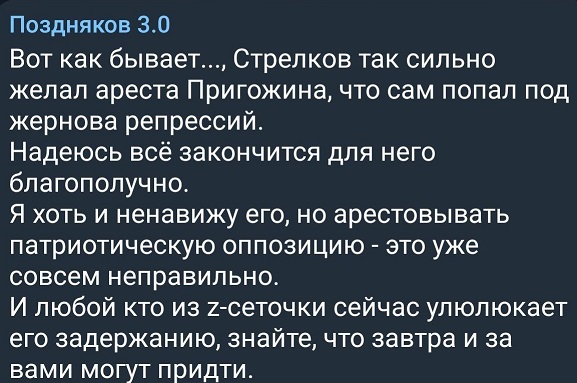 Стрелков просит не отправлять его в СИЗО: