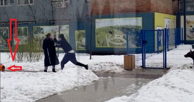 На владельца собак, напавшего на москвичку, завели уголовное дело