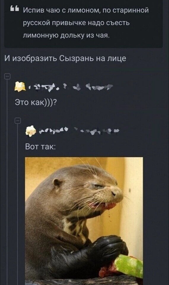 Кишлятиня