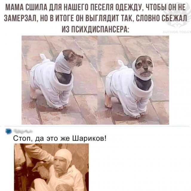 Юмор в картинках и без