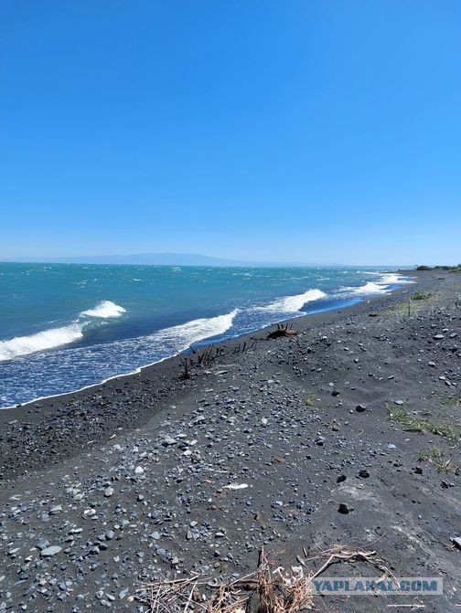Алаколь. Всё включено отдыхать хорошо, а дикарями лучше