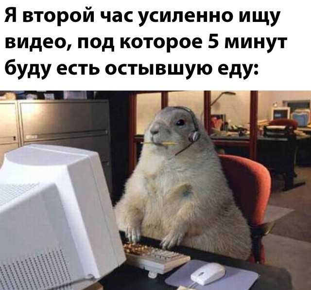 Околокулинарная подборка выходного дня