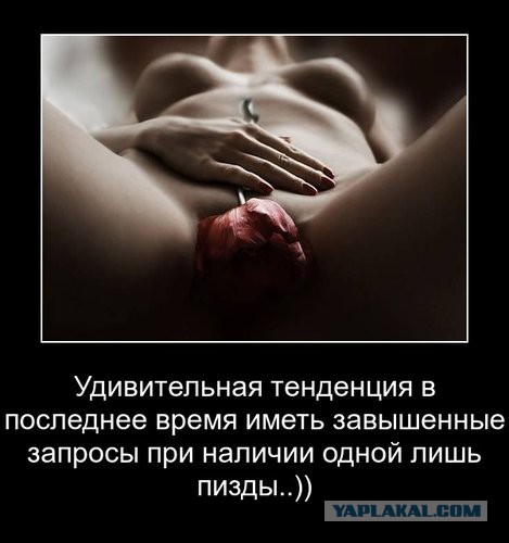 Девственность за 800 тыс