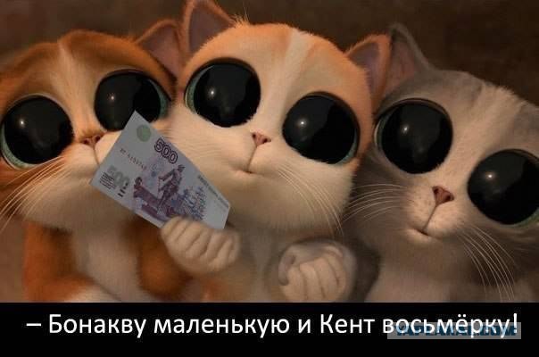 Смешные картинки из инета