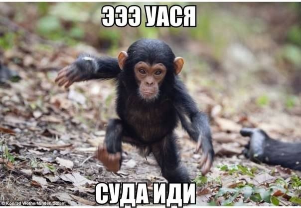 Прикольные картинки на понедельник .