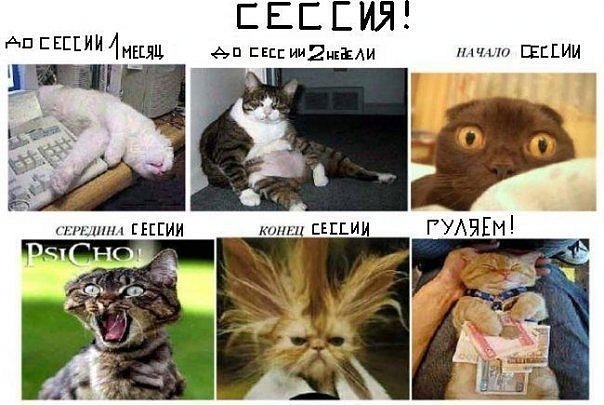 Студенческие приколы