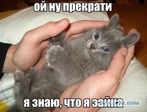 Добряки, плюсующие всех подряд