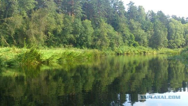 Добряки, плюсующие всех подряд