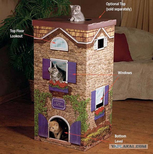 Домик для котейки