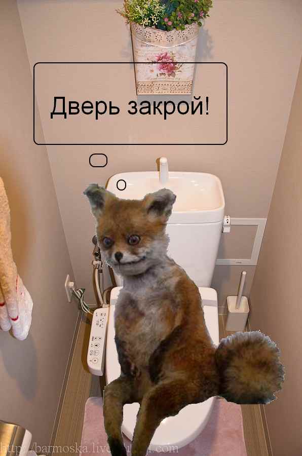 Как живут японские менеджеры средней руки