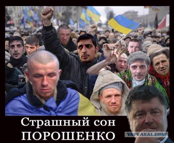 Митингующие в Киеве штурмуют здание Рады