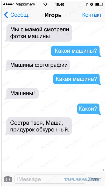 6417993.jpg